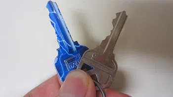 logo-image logo-image - 10